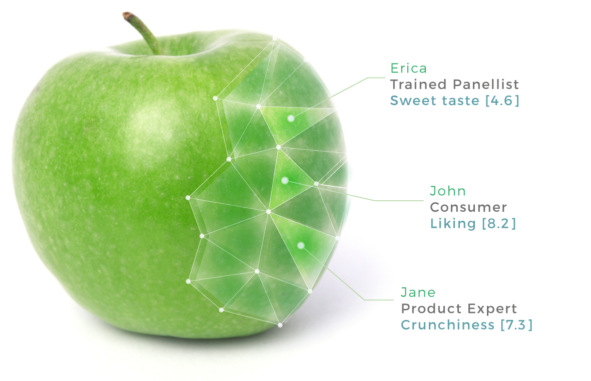Apple with attribute evaluation by panellists